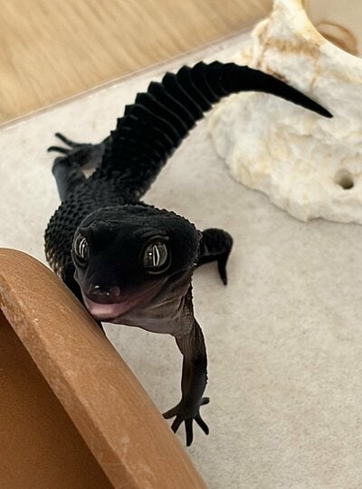 嬉しそうな表情も素敵