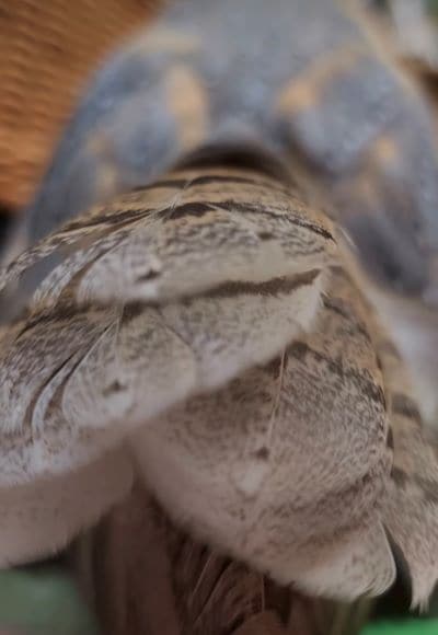 投稿動画のワンシーン