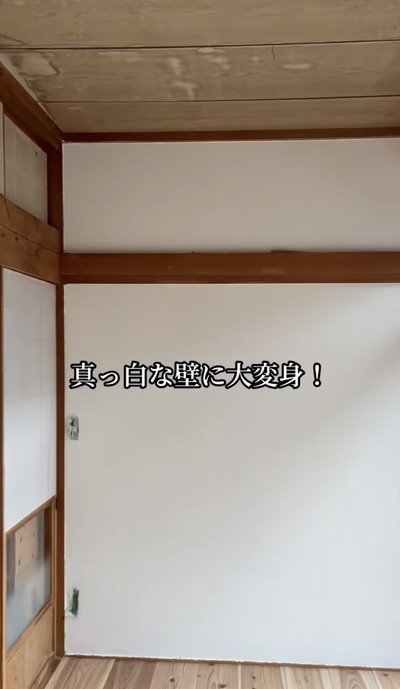 投稿の画像