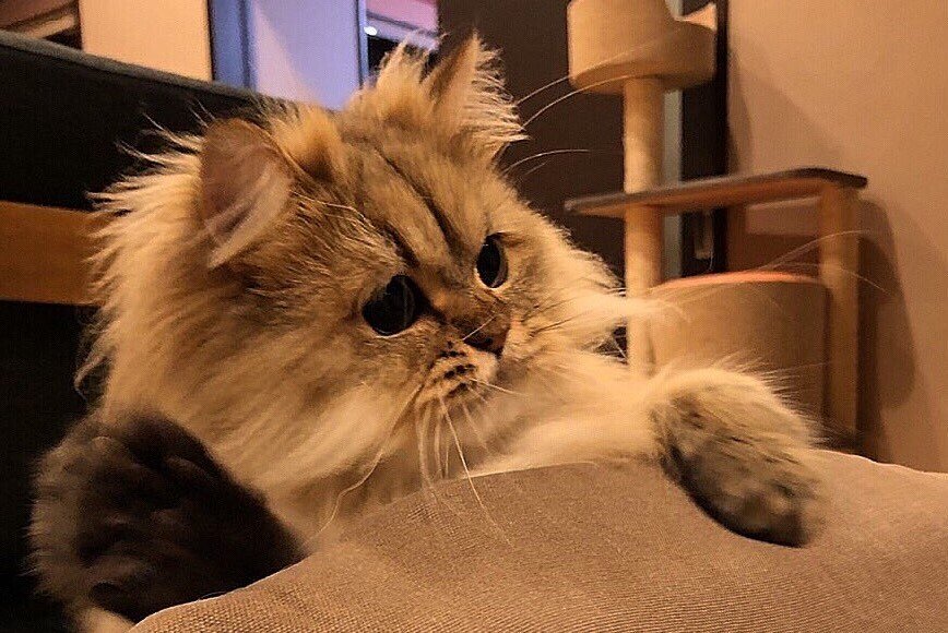 出所：@UphQepCv8J