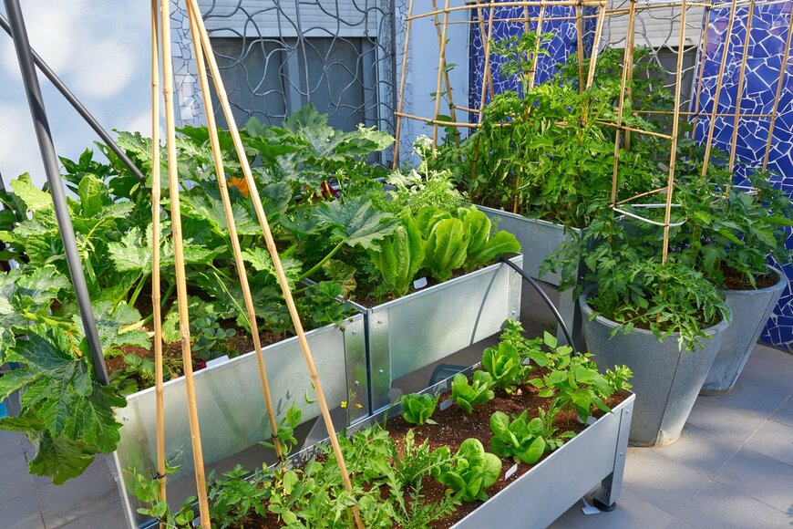 lunamarina/Shutterstock.com