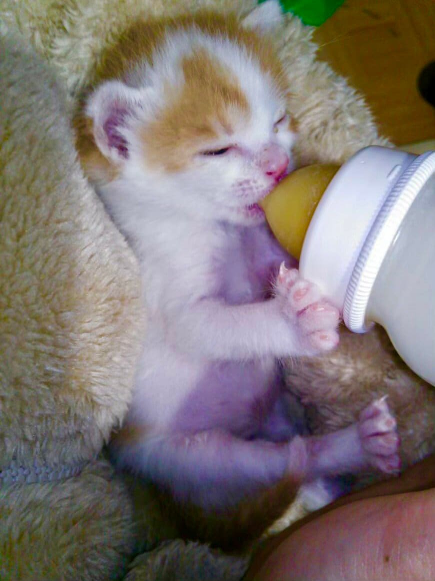 出所：@luna7taka9