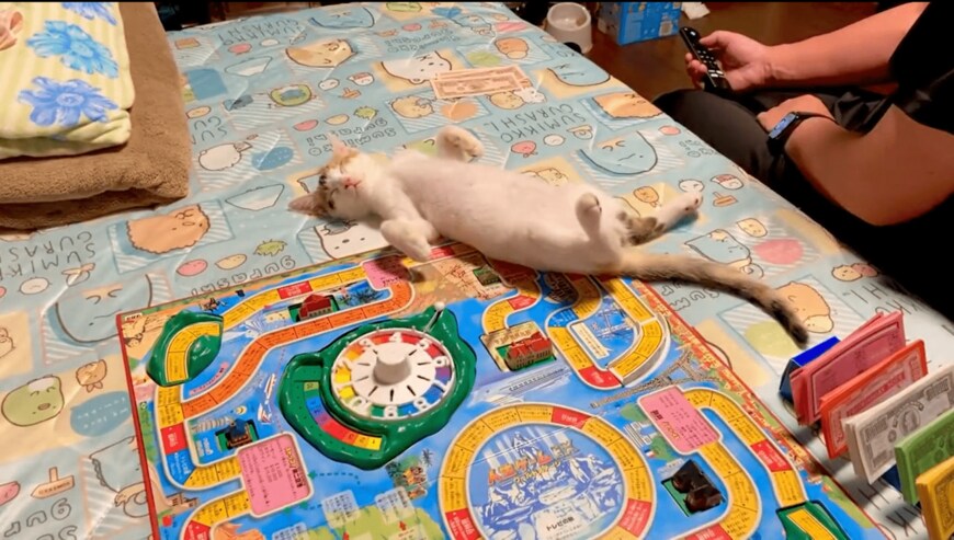 出所：@sabachikubi