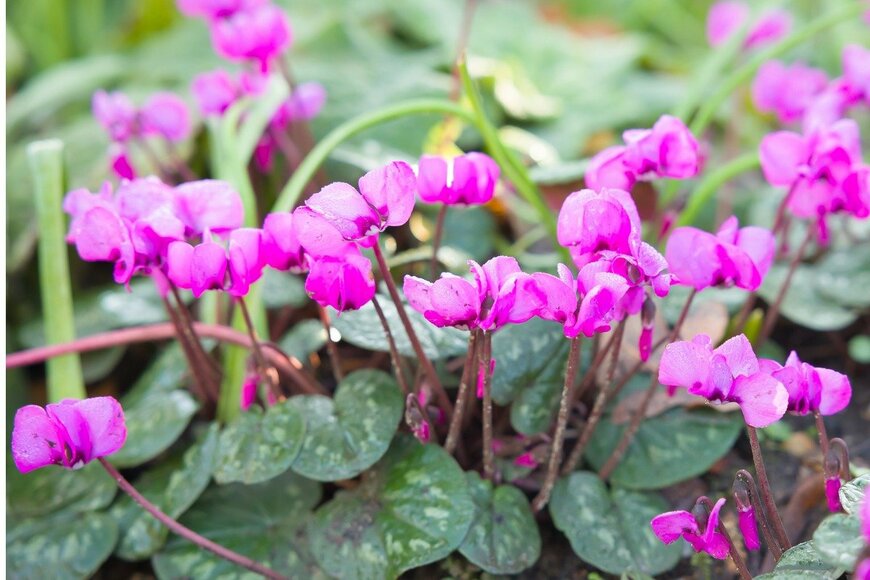 PaulMaguire/istockphoto.com