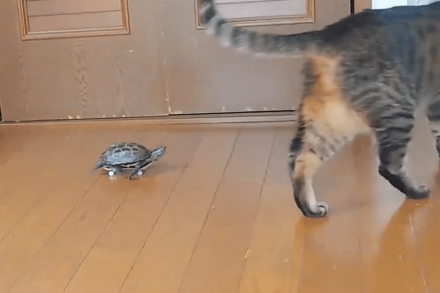 出所：@Mh0MLiErcV8E97C