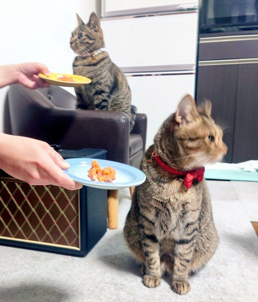 出所：@Mh0MLiErcV8E97C