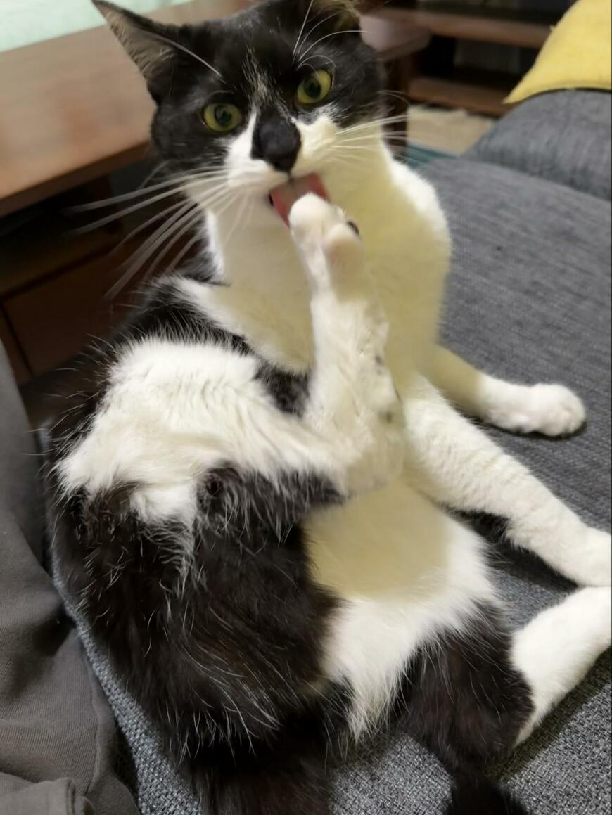 出所：@00shitemita