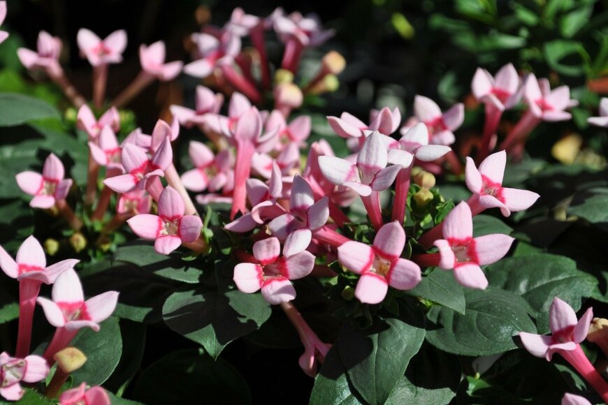 joel-t/istockphoto.com