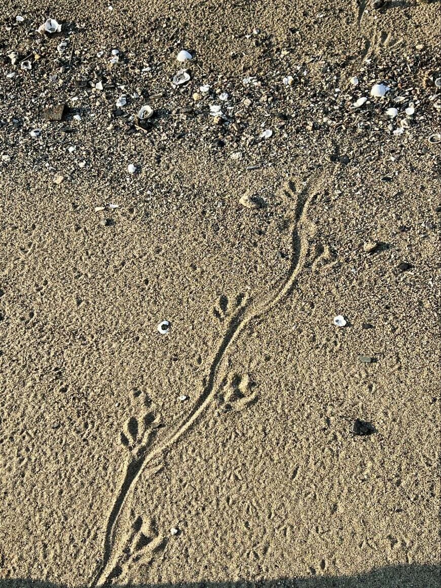 出所：@Yoh_no_hey