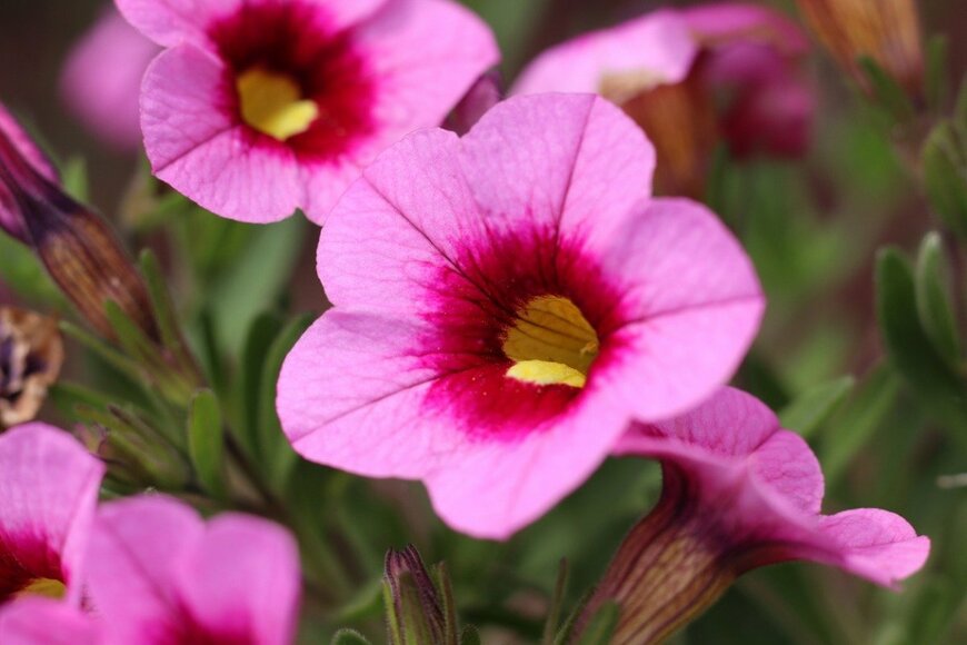 Imladris01/istockphoto.com