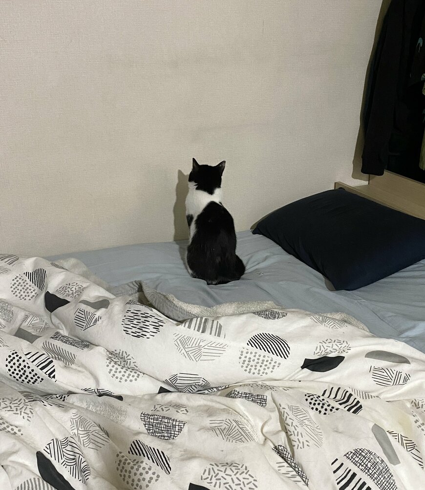 出所：@00shitemita