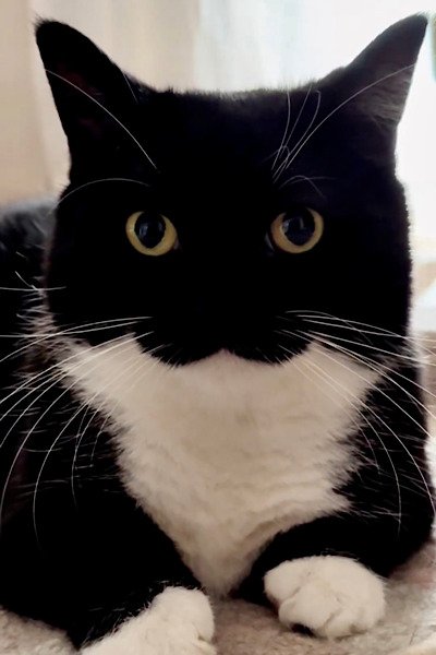 出所：@unicouniuni3