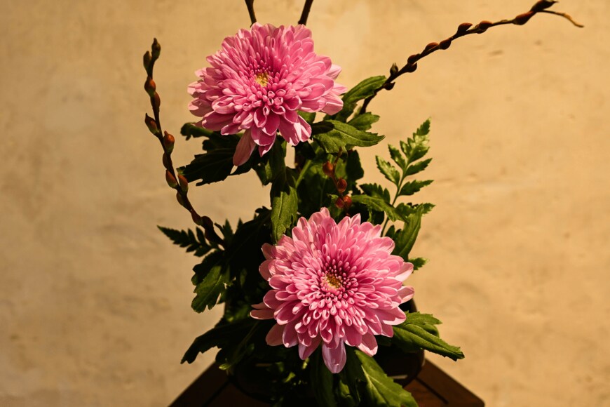 liu yu shan/shutterstock.com