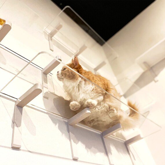 出所：ニトリ公式通販ニトリネット ロングステップ（幅90cm クリア CATROAD+）