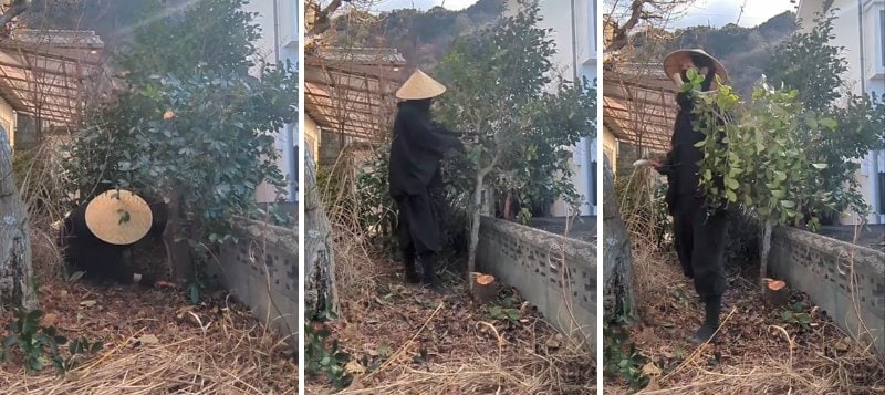 出所：@kusakari.zamurai