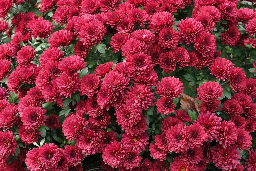 apugach/istockphoto.com