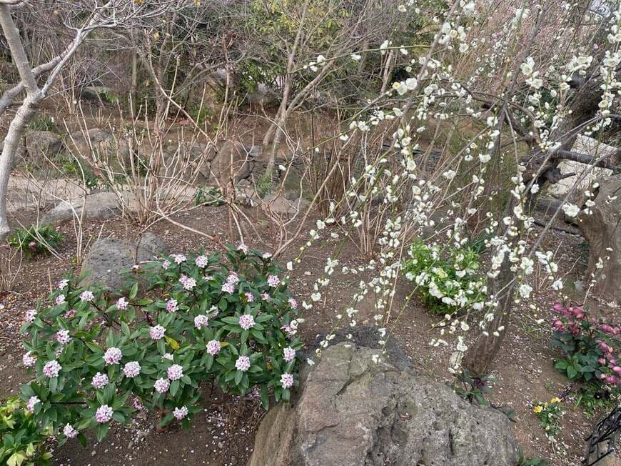 出所：假屋崎省吾のAmeba公式ブログ　参照日：2026-04-07