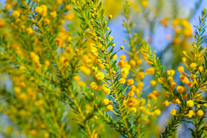 Ecopix/shutterstock.com