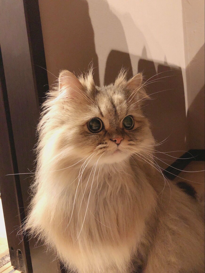 出所：@UphQepCv8J