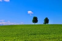 GWのドライブやおでかけに！北海道おなじみのガラナ味ソフトクリームを味わえる道の駅「なないろ・ななえ」みんなの口コミをチェック