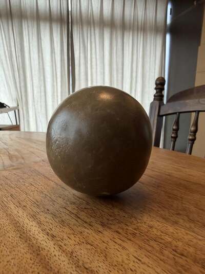 投稿の画像