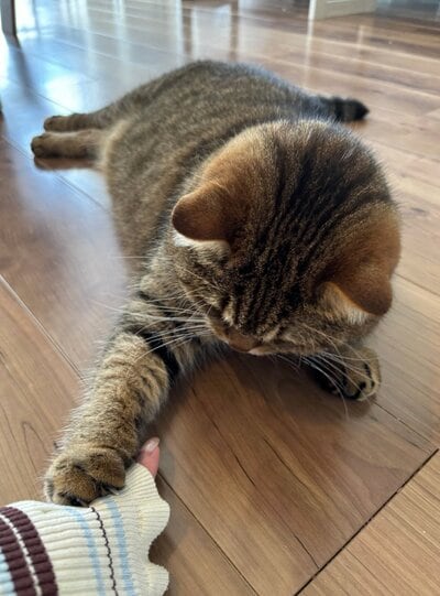 投稿の画像