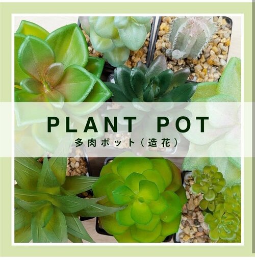 多肉ポット