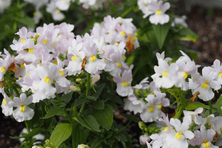 shinss/shutterstock.com