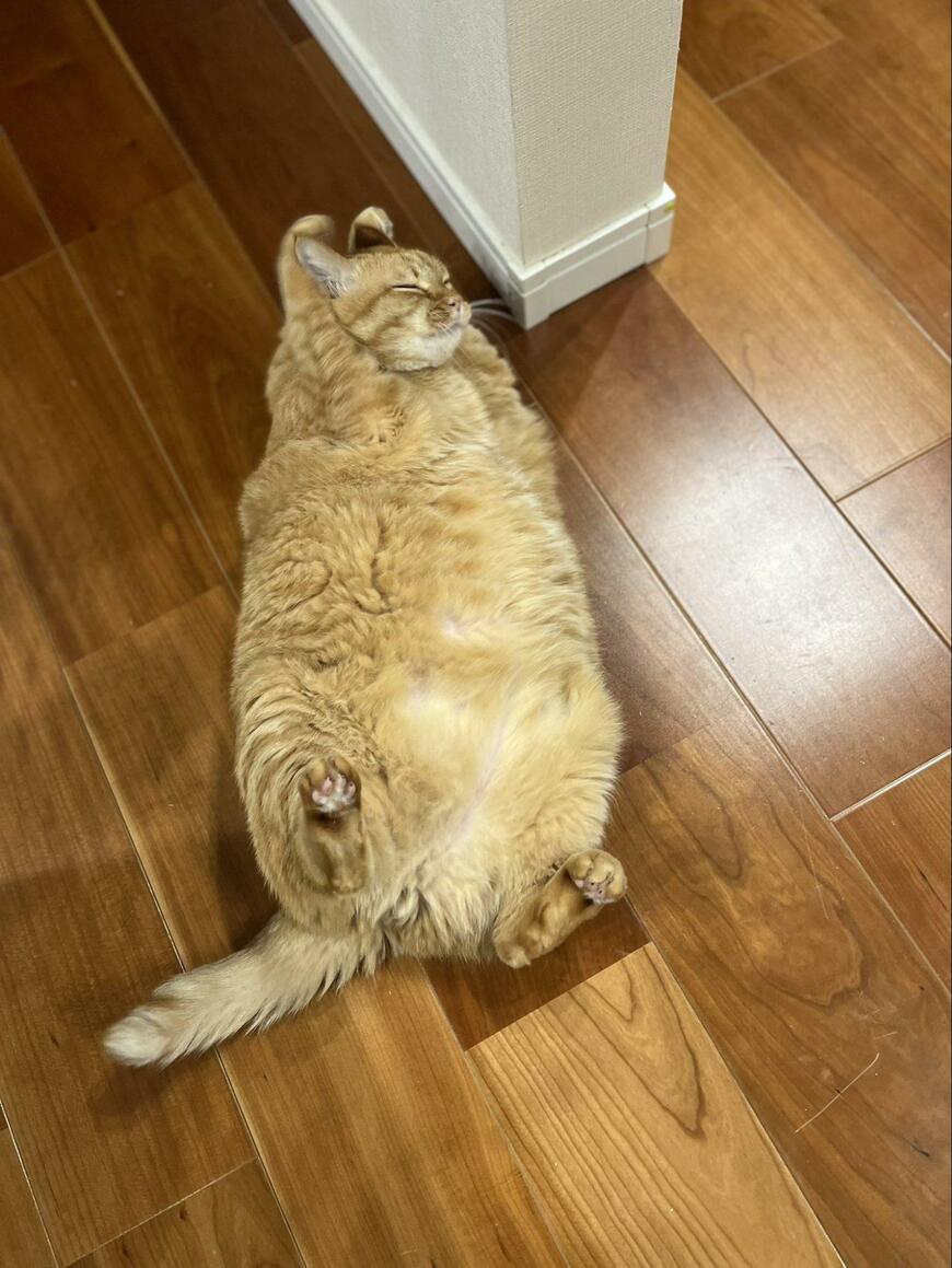 出所：@kagisuzu0531