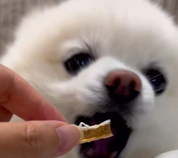 出所：@boku_ponchan