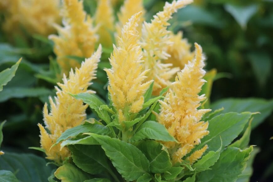 Kabar/shutterstock.com