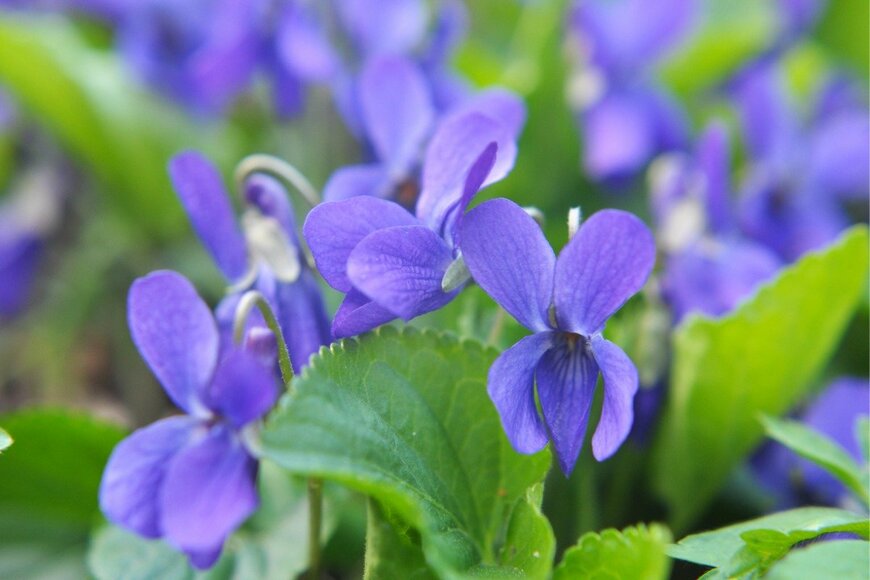 Orest Lyzhechka/istockphoto.com