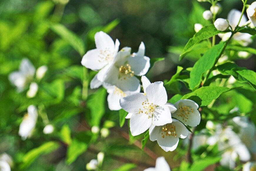 igaguri_1/istockphoto.com