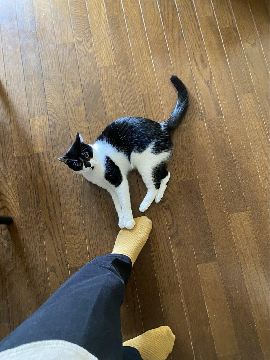 出所：@00shitemita 