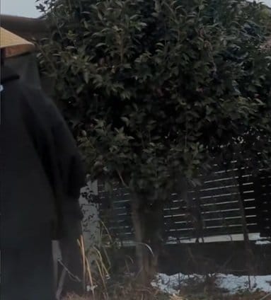 「心込めて刈ってあげた侍さん天晴れ」庭を覆う〈椿の古木〉→広々とした〈すっきり空間〉に大変身！丁寧な作業と感謝の心に感動