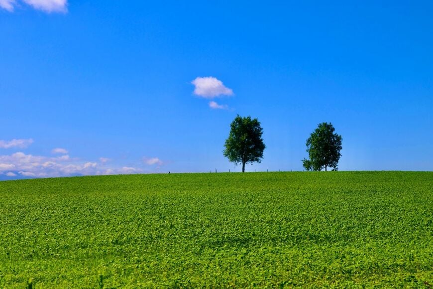 GWのドライブやおでかけに！北海道おなじみのガラナ味ソフトクリームを味わえる道の駅「なないろ・ななえ」みんなの口コミをチェック