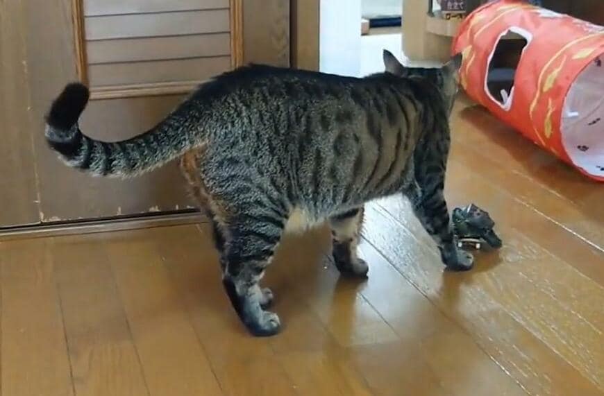 出所：@Mh0MLiErcV8E97C