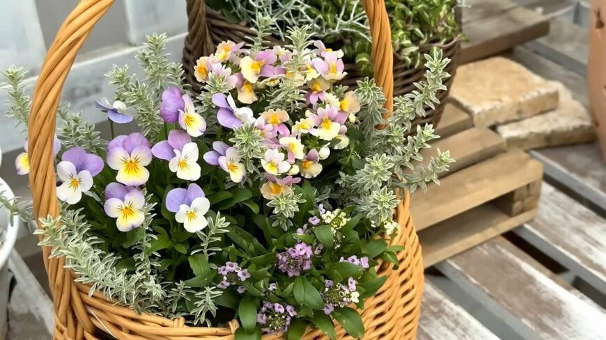 出所：@petit_fleur