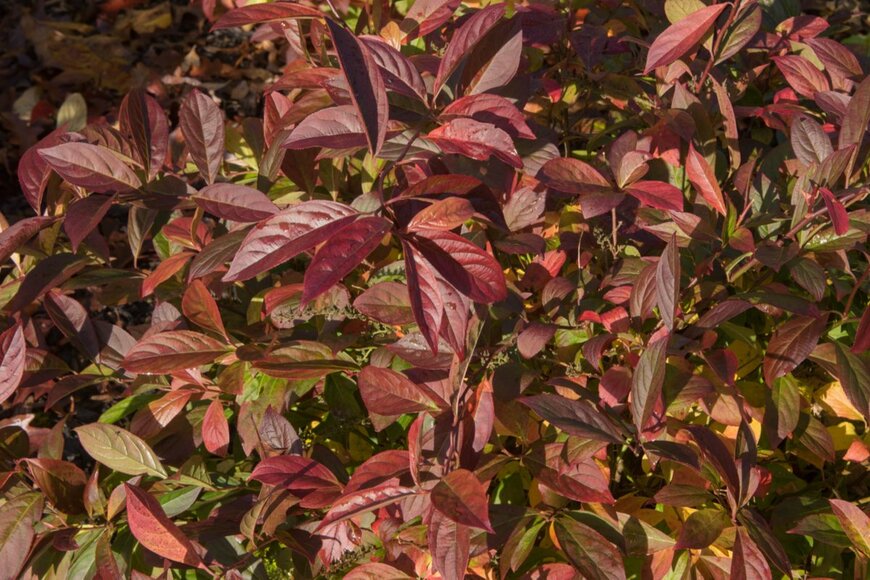 Peter Turner Photography/shutterstock.com