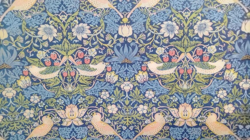 筆者撮影（セリア、A4クリアホルダー3ポケット）