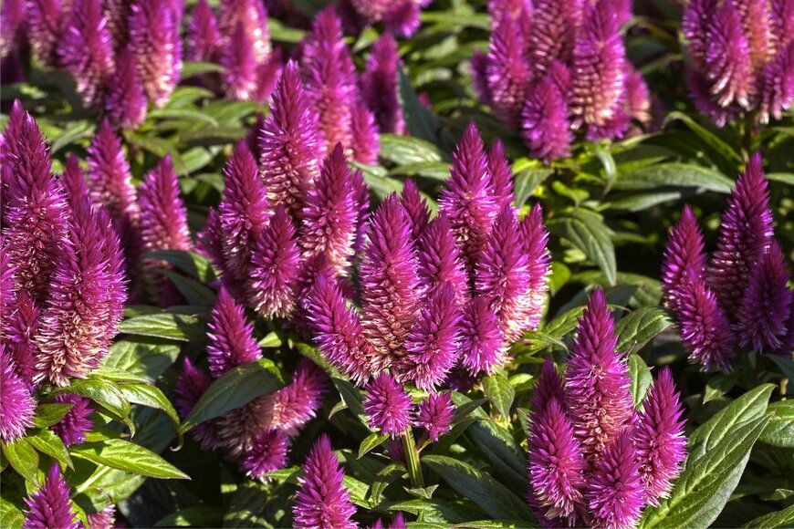 PFMphotostock/istockphoto.com