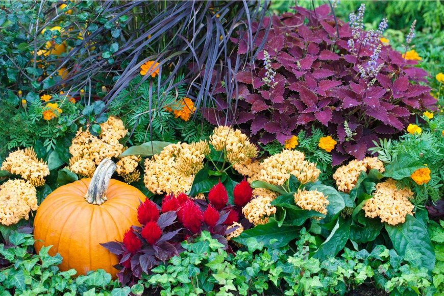 EvergreenPlanet/istockphoto.com