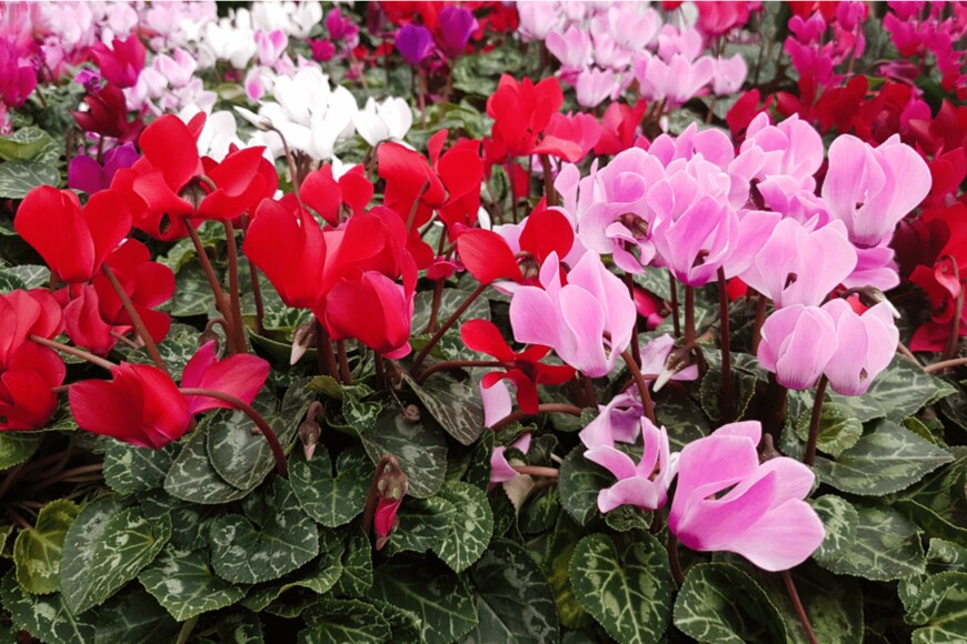 LUMIKK555/istockphoto.com