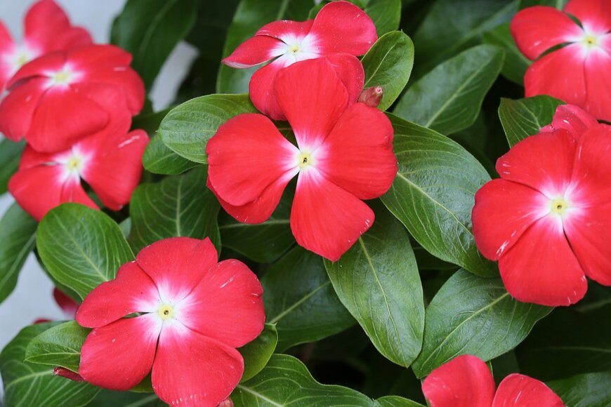 Marie Shark/shutterstock.com