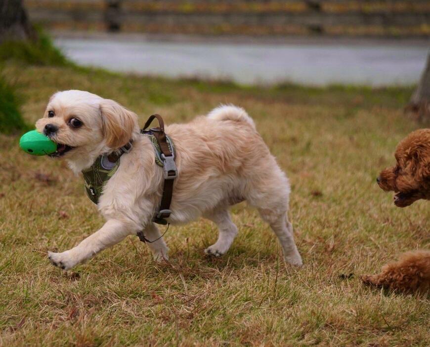 出所：@typehadari2502