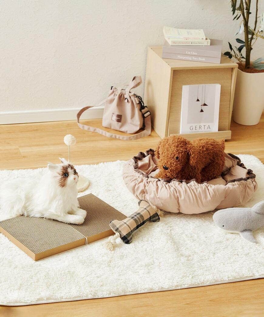 2月22日の猫の日のプチギフトとしても喜ばれそうです／出所：パルグループ公式ファッション通販サイト 3COINS BOOK型爪研ぎ