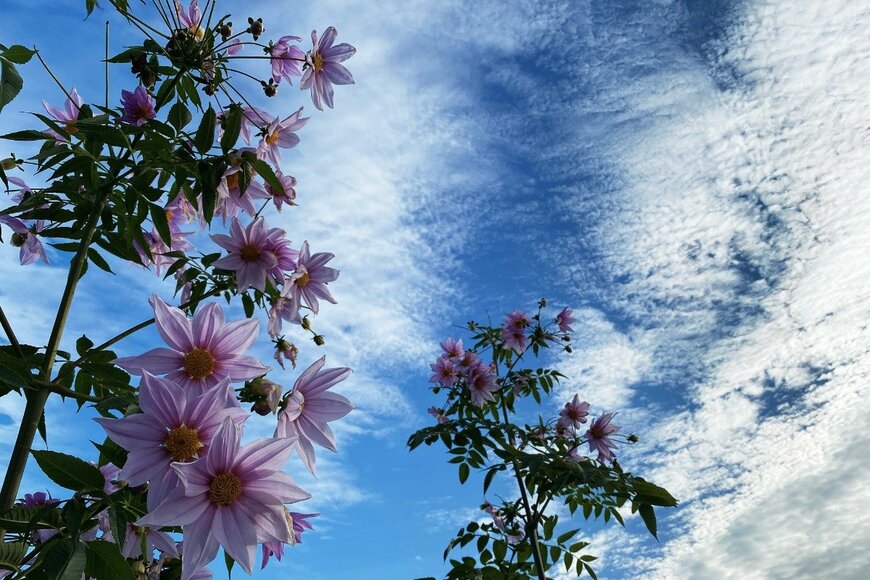 hiroaoki/istockphoto.com