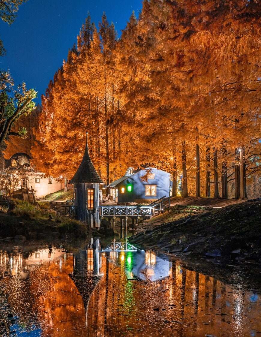 夜のムーミン谷