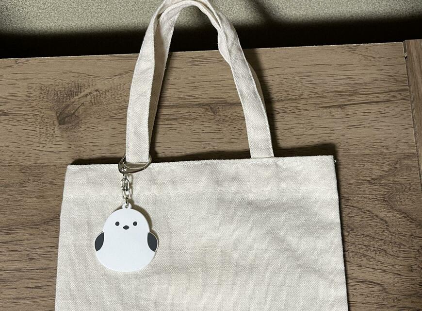 キャンドゥ、虫よけチャーム画像