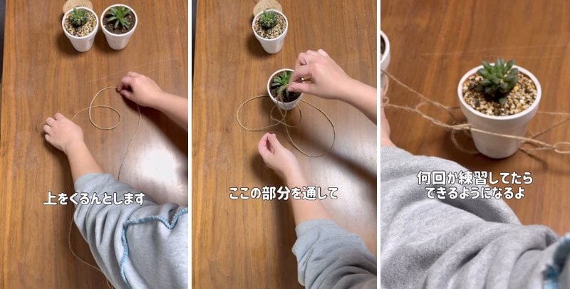 投稿の画像